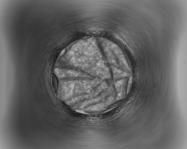 X0000093471297200711091600