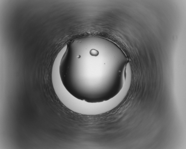 X0000093471298200711091600