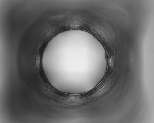 X0000093471299200711091600