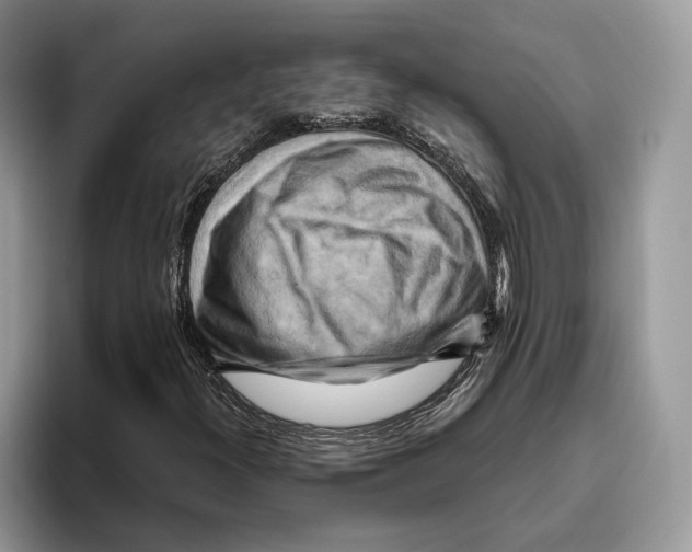 X0000093471300200711091600