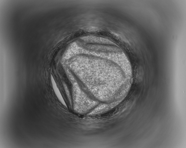 X0000093471301200711091600