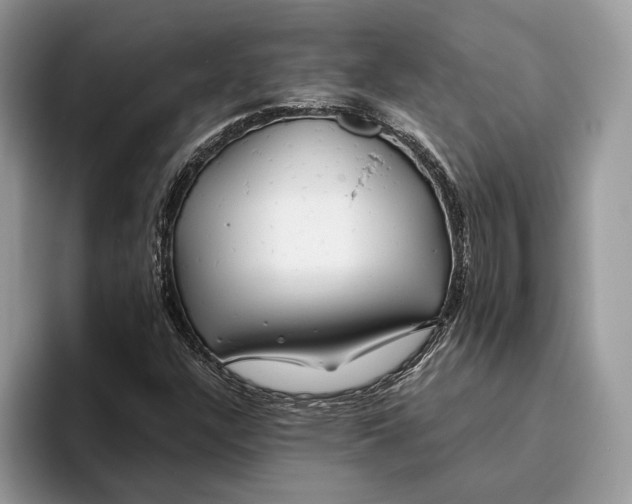 X0000093471304200711091600