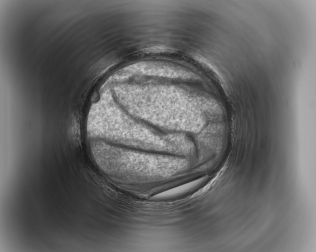 X0000093471305200711091600