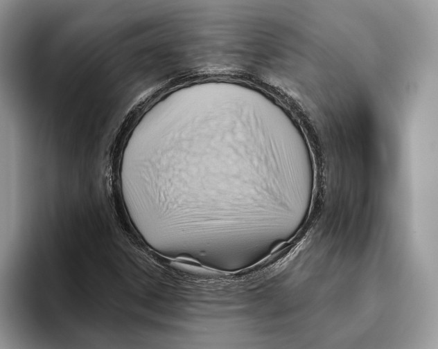 X0000093471306200711091600