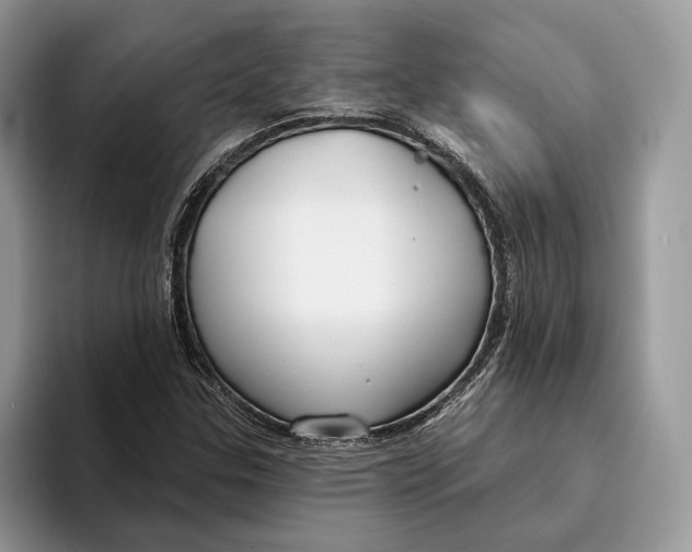 X0000093471307200711091600