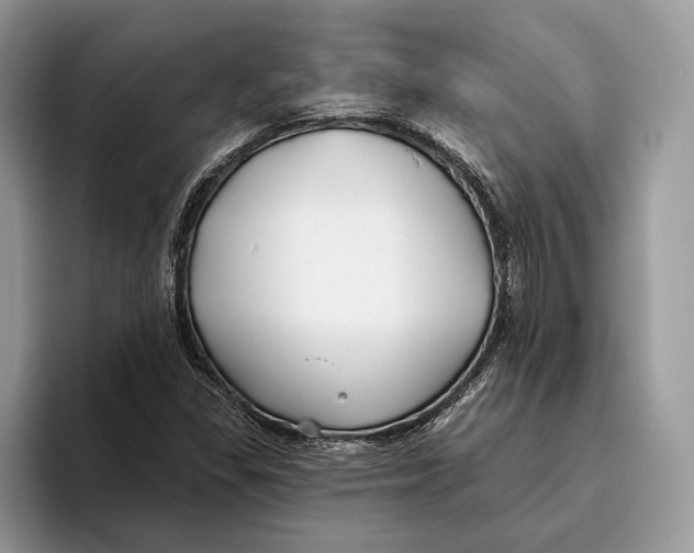 X0000093471309200711091600