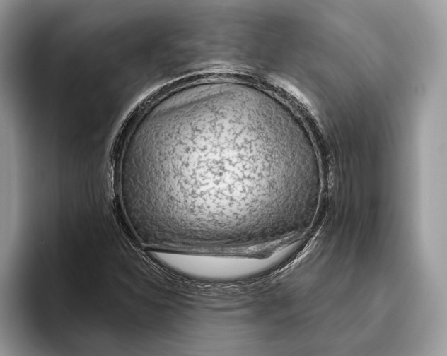 X0000093471310200711091600