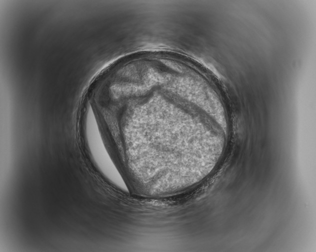 X0000093471311200711091600