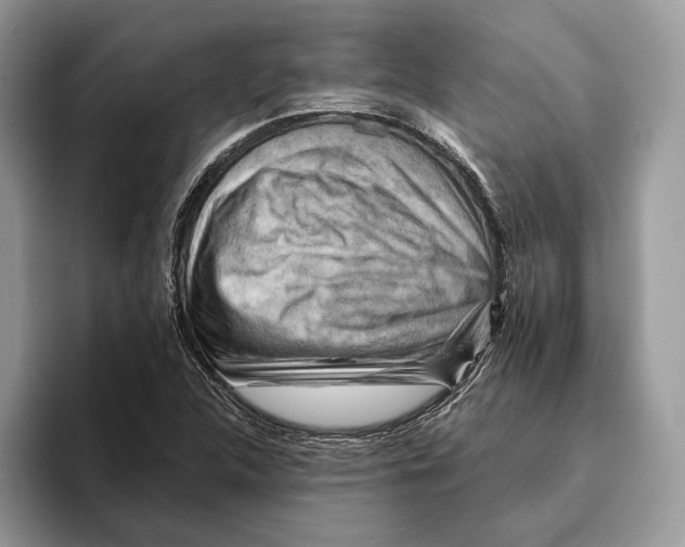 X0000093471312200711091600