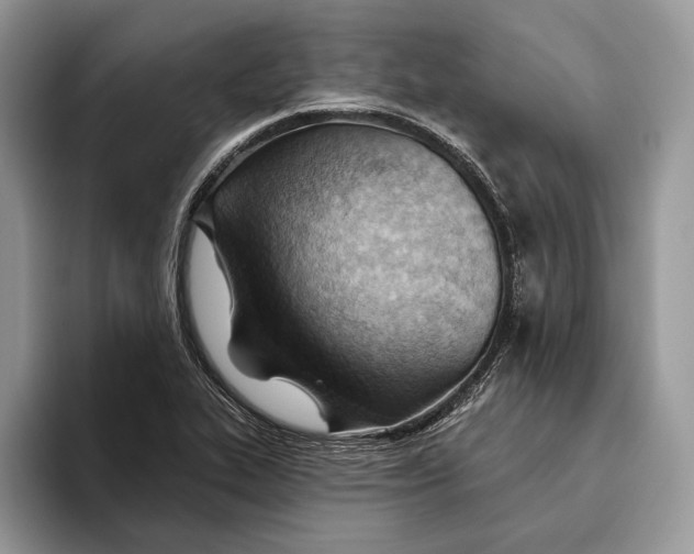 X0000093471319200711091600