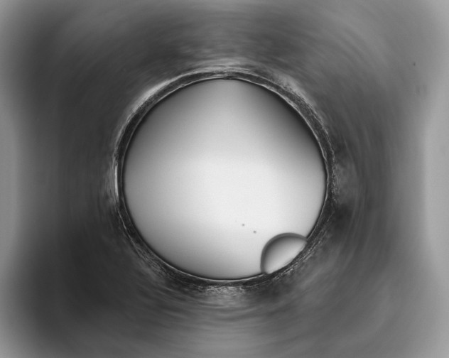 X0000093471320200711091600