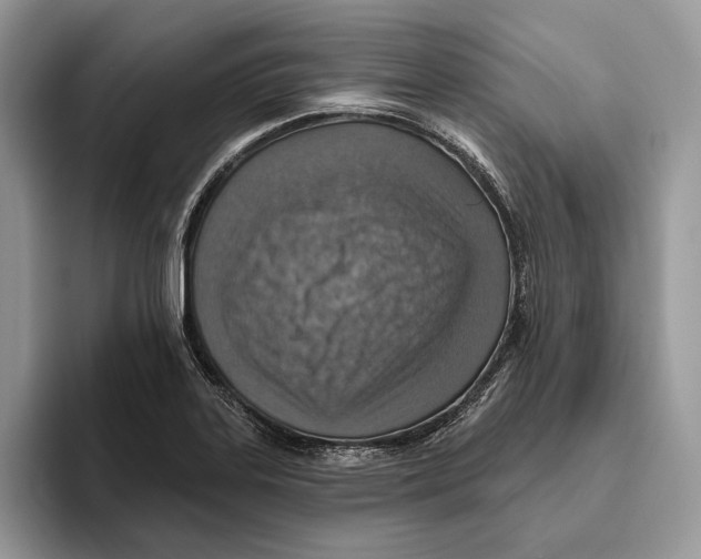 X0000093471323200711091600