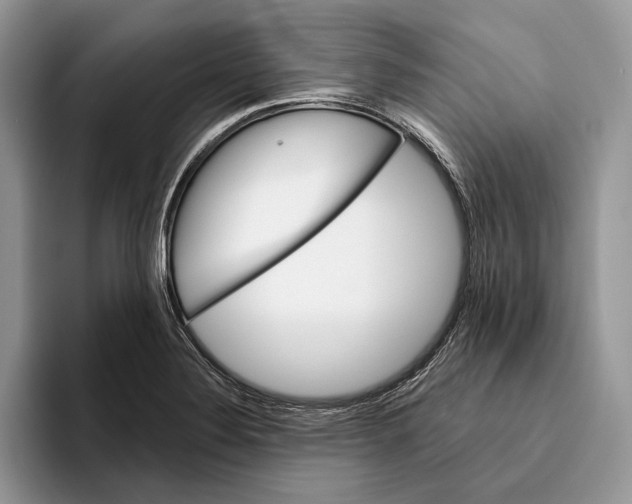 X0000093471324200711091600