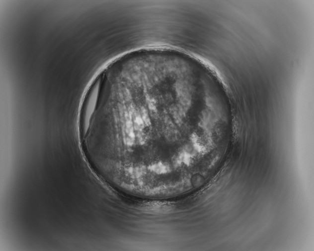 X0000093471327200711091600