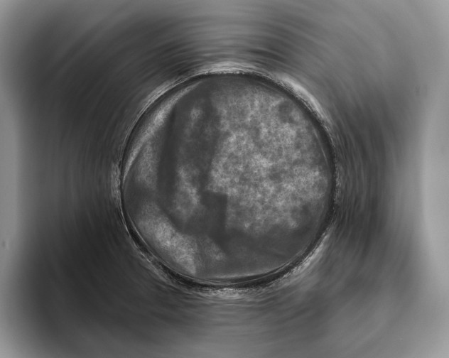 X0000093471329200711091600