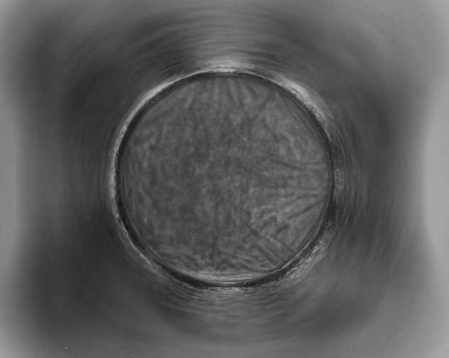 X0000093471331200711091600