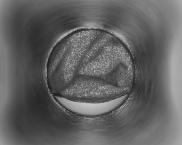 X0000093471335200711091601