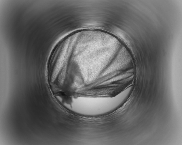 X0000093471336200711091601