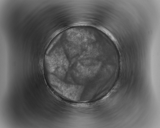 X0000093471337200711091601