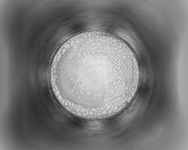 X0000093471338200711091601