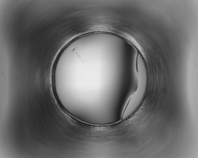 X0000093471339200711091601