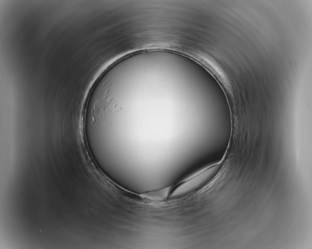 X0000093471340200711091601