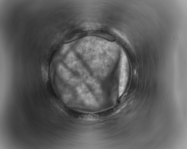 X0000093471348200711091600