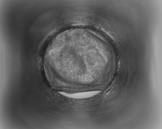 X0000093471351200711091600