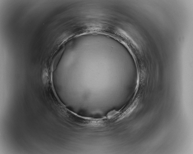 X0000093471353200711091600