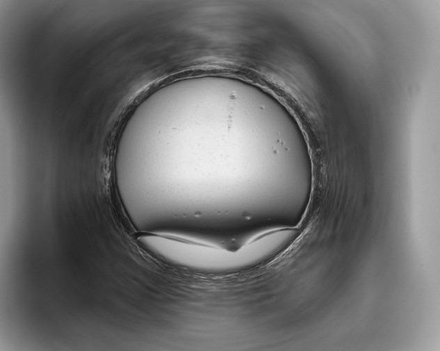 X0000093471355200711091600