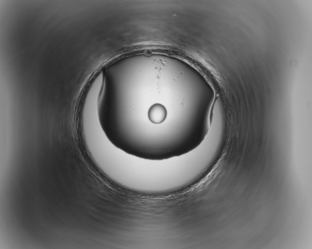 X0000093471357200711091600