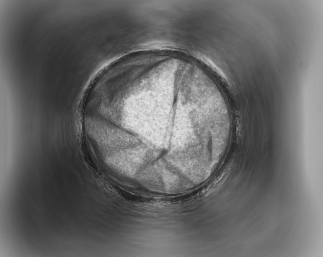 X0000093471358200711091600