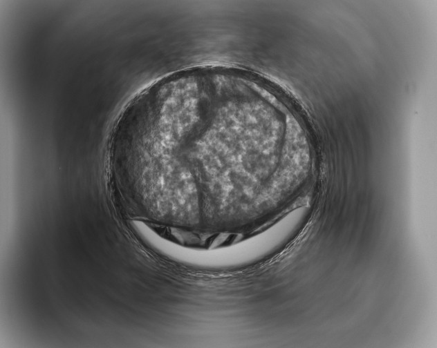 X0000093471359200711091600