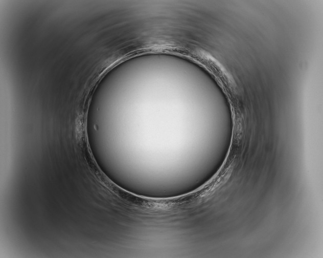 X0000093471361200711091600