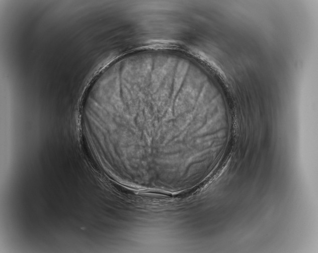 X0000093471362200711091600