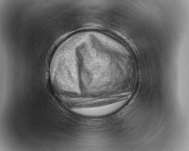 X0000093471363200711091600