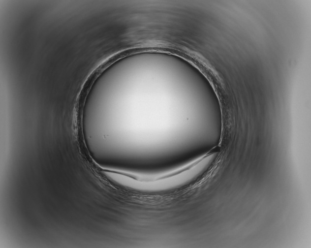 X0000093471364200711091600