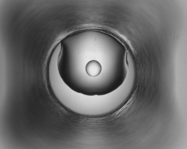 X0000093471365200711091600