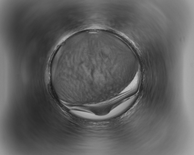 X0000093471367200711091600