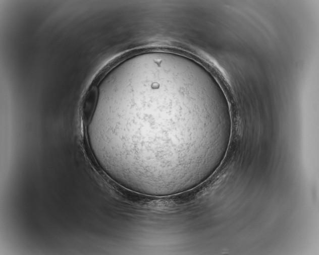 X0000093471368200711091600