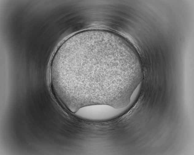 X0000093471371200711091600