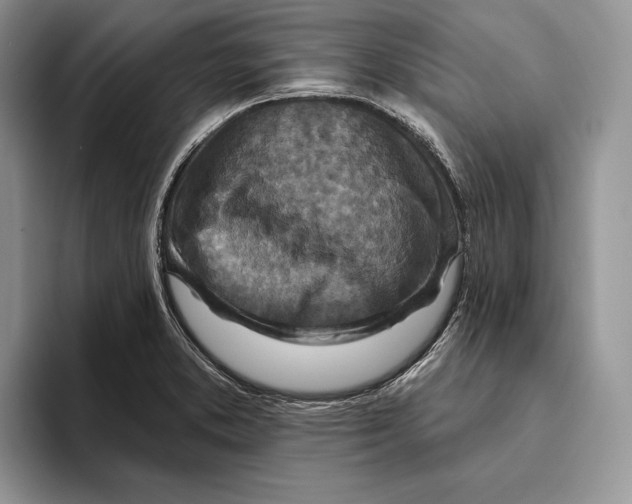 X0000093471373200711091600