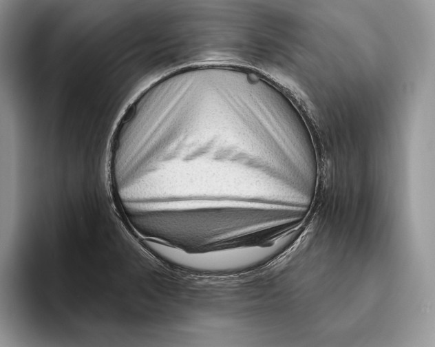 X0000093471374200711091600