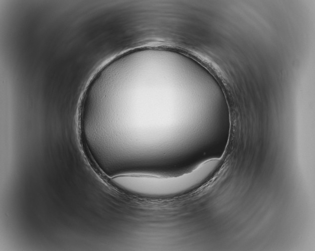 X0000093471375200711091600