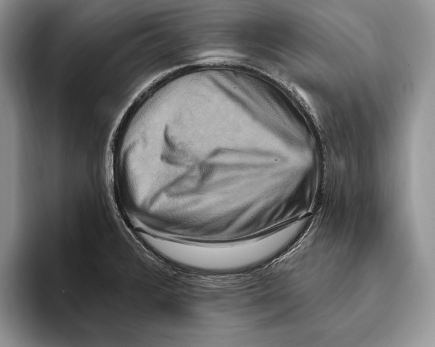 X0000093471376200711091600