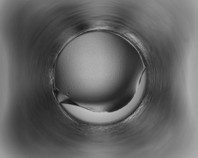 X0000093471377200711091600