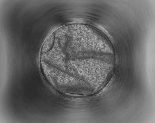 X0000093471378200711091600