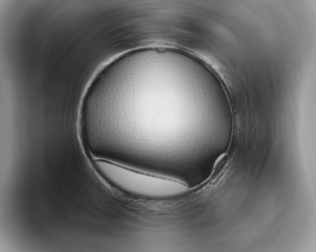 X0000093471379200711091600