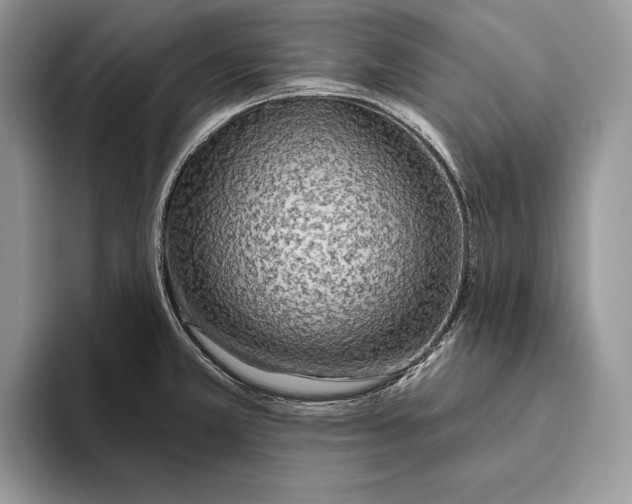 X0000093471381200711091600