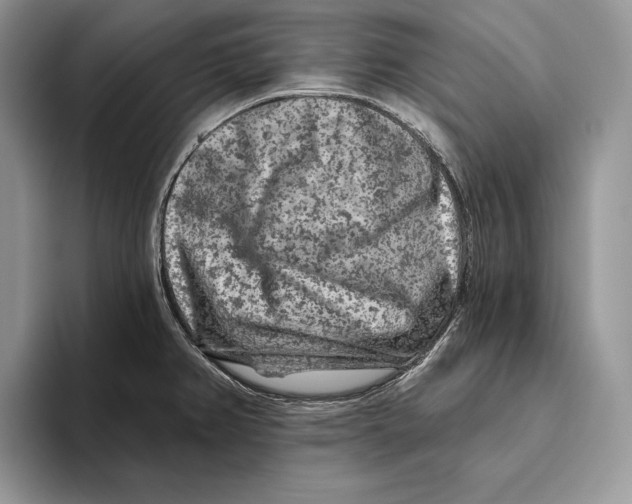 X0000093471382200711091600